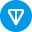 TON logo